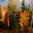 Pond in Autumn