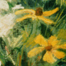 Bouquet with Black Eyed Susans
