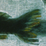 Carp Tank #2