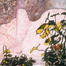 Plants with Lace Curtain
