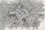 Horse and Rider 